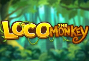 Loco the Monkey
